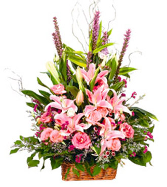Flower Arrangement Flower Arrangement
