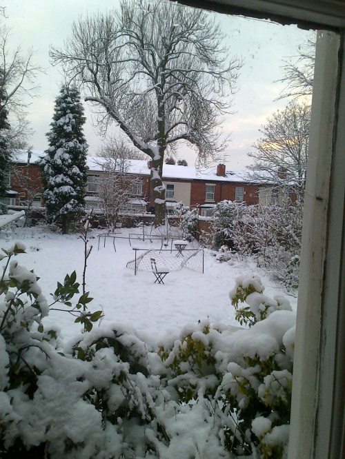 Bit late to put the garden furniture away now I guess