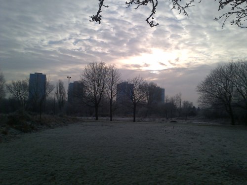 Tower blocks looking mysterious in the frost