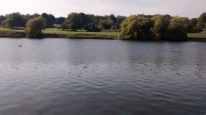 Our sunny September park