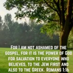 1475172149644_16322820-1473851525884_640x640