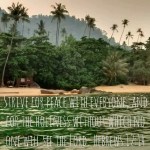 1475172159467_16322820-1472711853436_640x640