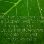 1475172177328_16322820-1471507476858_640x640