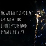 1475172186517_16322820-1470837898939_640x640