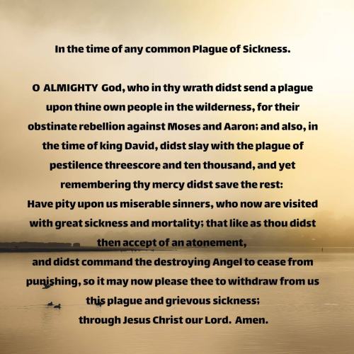 In the time of any common Plague of Sickness. O ALMIGHTY God, who in thy wrath didst send a plague upon thine own people in the wilderness, for their obstinate rebellion against Moses and Aaron; and also, in the time of king David, didst slay with the plague of pestilence threescore and ten thousand, and yet remembering thy mercy didst save the rest: Have pity upon us miserable sinners, who now are visited with great sickness and mortality; that like as thou didst then accept of an atonement, and didst command the destroying Angel to cease from punishing, so it may now please thee to withdraw from us this plague and grievous sickness; through Jesus Christ our Lord. Amen.