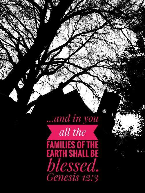 black and white htwb-01