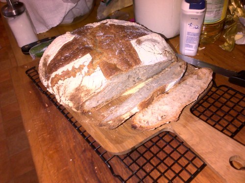 IMG-20130917-00180 (1)