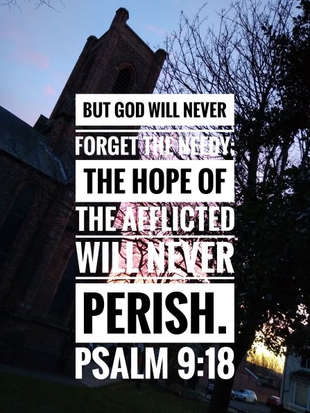 IMG_20200203_171224590-02