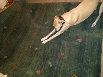 IMG_20200221_191541501