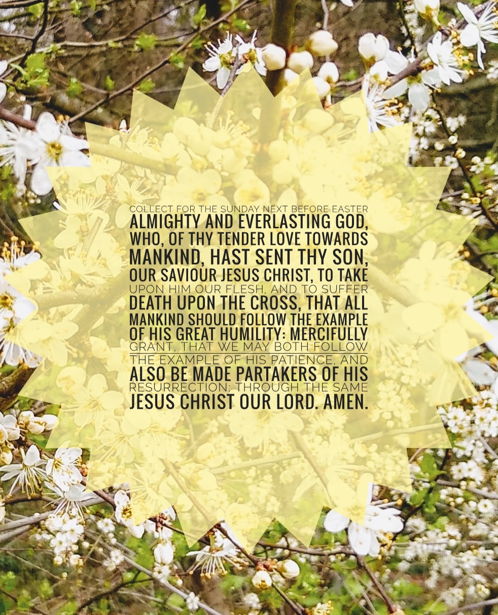 [Black text on yellow starburst, photo of blackthorn blossom behind] ALMIGHTY and everlasting God, who, of thy tender love towards mankind, hast sent thy Son, our Saviour Jesus Christ, to take upon him our flesh, and to suffer death upon the cross, that all mankind should follow the example of his great humility: Mercifully grant, that we may both follow the example of his patience, and also be made partakers of his resurrection; through the same Jesus Christ our Lord. Amen.