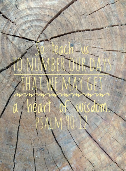 [Text over photo of cut tree trunk] So teach us to number our days that we may get a heart of wisdom.